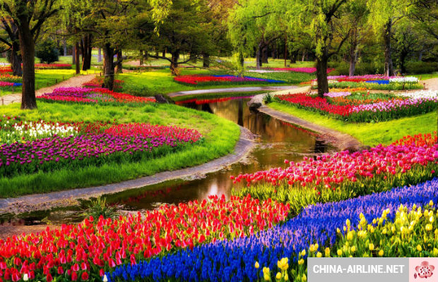 Tham quan Hà Lan – xứ sở của loài hoa Tulip