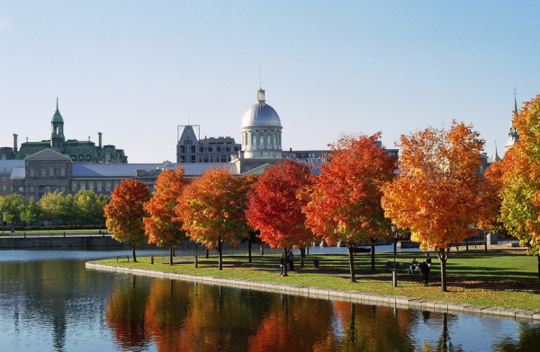 Hãy đến Boston vào màu xuân và mùa thu để chiêm ngưỡng vẻ đẹp nên thơ của thành phố nhuộm màu lá vàng