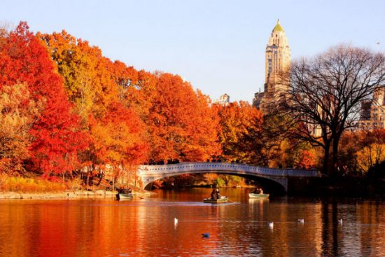 Cảnh đẹp mùa thu ở các thành phố nổi tiếng của Mỹ - China Airlines