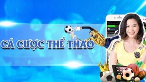 Các nền tảng cá cược thể thao hiện nay hoạt động minh bạch