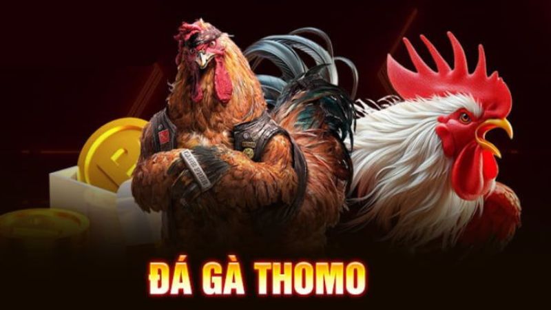 Khi chơi cá cược đá gà tránh tâm lý thua cược